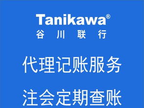 專業(yè)財(cái)稅服務(wù) 一站式承接武清企業(yè)注冊(cè)與稅務(wù)咨詢